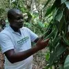Shaaban Peter Majo