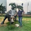 aameer shaikh