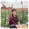 Ng Xin Yin