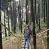Chandan