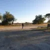 Munashe Adrian Chokodza
