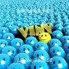 Vinayaki Viny