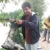 Taufik ardiansyah