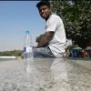 Bipin Rathod