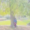 ashrima nand
