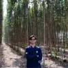 Risang Sembodo Siwi