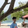 Dimas Pradopo