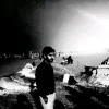 Birendra Kumar