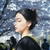 ZHENYANG CHEN