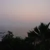 Surya CM