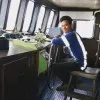 Jerryboy bugs