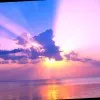 Tiana Colbert