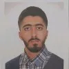 Ali Feizi