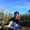 Xinlong Li
