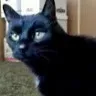 Nolan