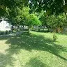 Amit Pushkar