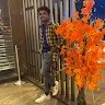 UMMANI RAVI