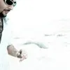 Fady Morgan
