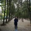 Mui Siang Heng