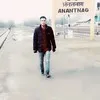 AAMIR DAR