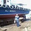 Ali MOSES