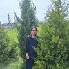 Anitha Raphy