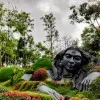 Amani Buddhi