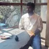 Akash Nelson