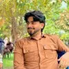 Ali Shafiq