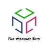 The Memory Bits