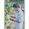 Dattatraya Balaji Shinde