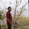Avula Ganesh