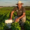 Juan Carlos Aguero Alegre