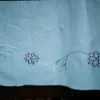 Panna Akther