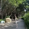 Qi Shan