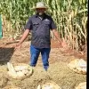 Nchimunya Hachilima