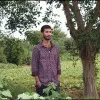 Dineshreddy Malreddy