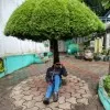 Nandha Gopal