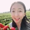Jing Li