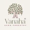 Vanaha essential oils VAF