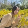 Yanan Zhao