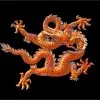 Qi Li