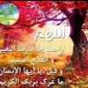 shaza abdo