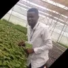 Ebenezer Adjei Anane