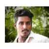 Robin Roy