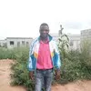 Wisdom Simate