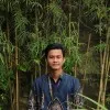 Ari Priyanto