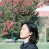 Han Yan
