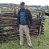 Songezo Shasha
