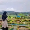Difatul MuMinah